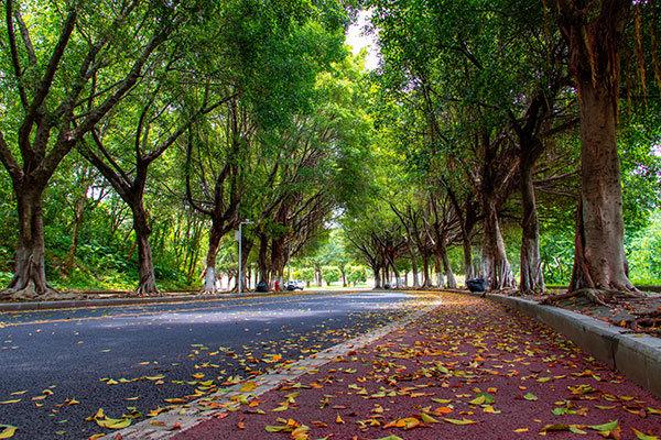 微型環(huán)境空氣質(zhì)量監(jiān)測(cè)站系統(tǒng)方案